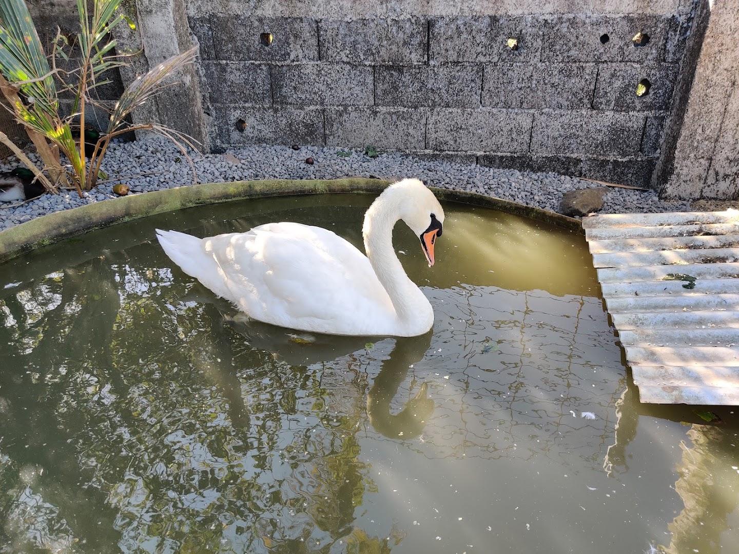 Domaine Palssade - Photo 2