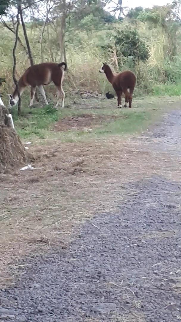 Domaine Palssade - Photo 3